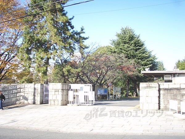 京都府京都市伏見区深草善導寺町(賃貸アパート2K・1階・29.16㎡)の写真 その5