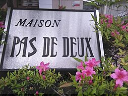 6 / 9