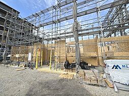 ガーデン・アイリス