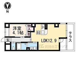 パラシオ　レイ