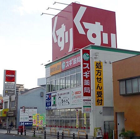 スギ薬局林寺店まで約６６０ｍ（徒歩９分）です。