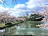 周辺：桃ヶ池公園まで約３１０ｍ（徒歩４分）です。