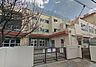 周辺：鎌倉小学校 鎌倉小学校 490m