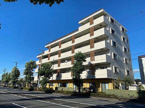 apartment 茨城県龍ケ崎市松ケ丘2丁目24-22
松ケ丘の賃貸情報を見る
物件地図
