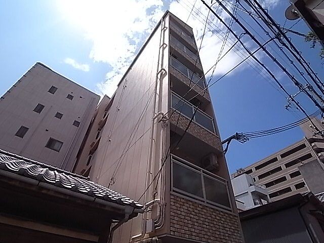 2 / 11
