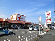 ヤオマサ蛍田店(566m)