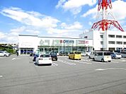 小田原市立病院(1、119m)