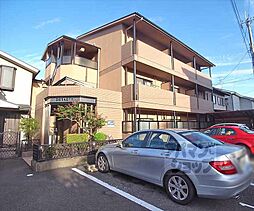 ドリアード下鴨