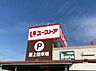 周辺：ピアゴ井ヶ谷店（732m）