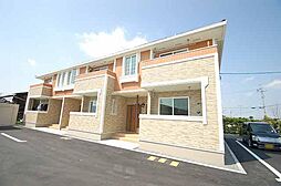 サニーグレイス