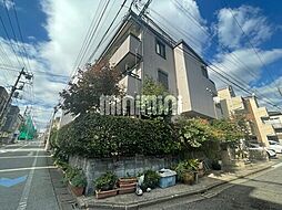 グレースパピヨン