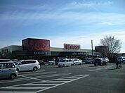 かましん雀宮店(スーパー)まで1078m