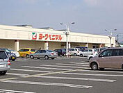 ヨークベニマル若松原店(スーパー)まで1609m