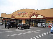 フードオアシスOTANI五代店(スーパー)まで1691m