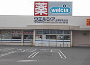 ウエルシア宇都宮五代店(ドラッグストア)まで1146m