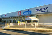 ウエルシア宇都宮駒生店(ドラッグストア)まで987m