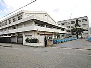 小学校「尼崎市立大島小学校まで393m」