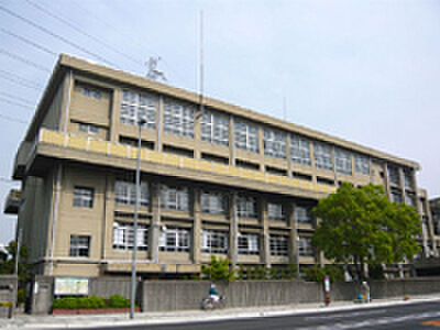 画像8:中学校「尼崎市立常陽中学校まで738m」