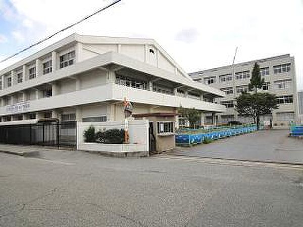 画像27:小学校「尼崎市立大島小学校まで443m」