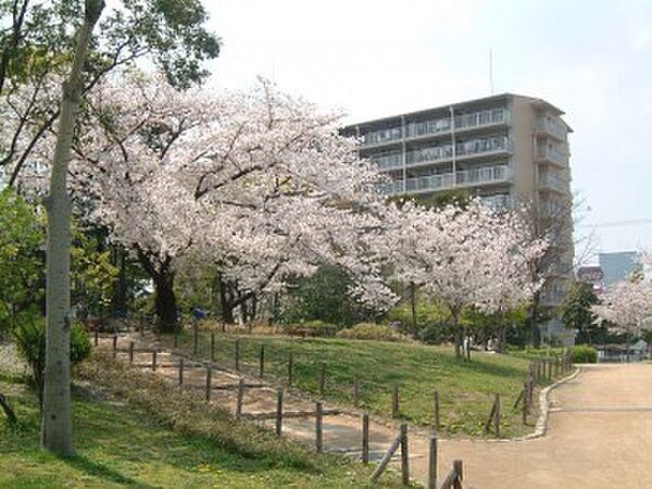 グラント塚口 303｜兵庫県尼崎市南塚口町６丁目(賃貸アパート1K・3階・25.66㎡)の写真 その28