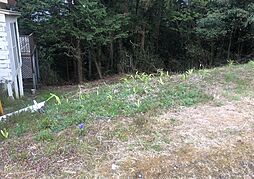 中央本線 相模湖駅 バス13分 相模湖林間公園入口下車 徒歩8分