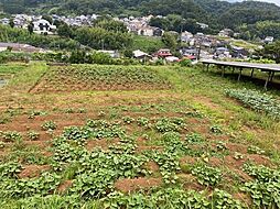 小田急小田原線 本厚木駅 徒歩55分