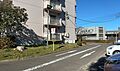 外観はマンショ...