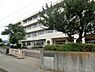 周辺：【小学校】菅原小学校まで732ｍ