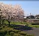 周辺：【公園】石川田島公園まで199ｍ