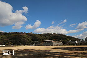 アリビオ歩行町 401 ｜ 愛媛県松山市歩行町2丁目（賃貸マンション1LDK・4階・42.17㎡） その24