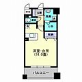 松山ウェスティン9階5.5万円