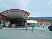 セブンイレブン　松山椿参道店(コンビニ)まで800m