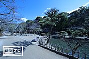 道後公園(公園)まで1200m