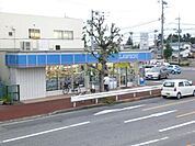 コンビニ「ローソンまで620m」