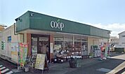 スーパー「ユーコープ国府津店まで665m」