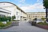 周辺：中学校「小田原市立城山中学校まで1330m」