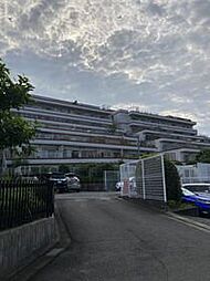 アデニウム玉川学園