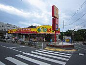 どらっぐぱぱす 板橋徳丸店（278m）