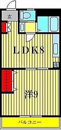 ステイツ高砂 1LDKの間取図画像