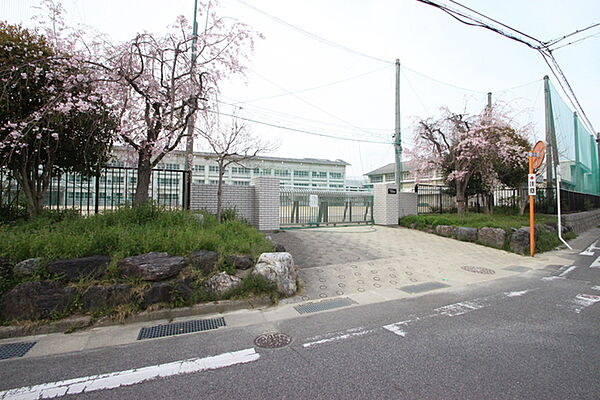 画像17:名古屋市立守山中学校