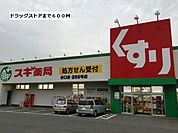 スギ薬局