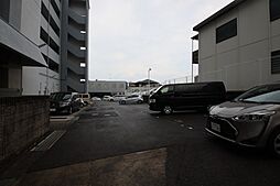 23 / 31