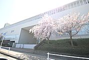 南山高等　中学校　女子部