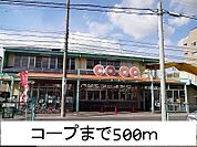 コープ