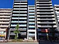 Casa Avenue Ikeshita