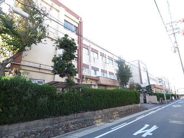 画像19:小学校「名古屋市立児玉小学校まで663m」