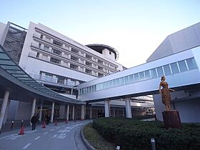 ラフィナートII  ｜ 愛知県名古屋市西区江向町２丁目（賃貸アパート2LDK・2階・69.46㎡） その27