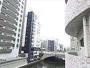 景色が綺麗です。