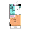 ステラヒルズ5階6.0万円