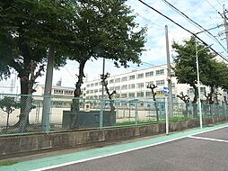 シャーメゾン比良